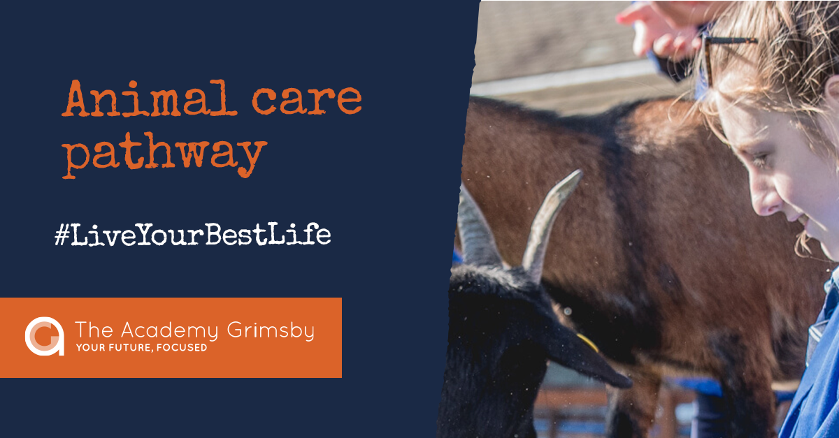 animal care pathway girl with goats